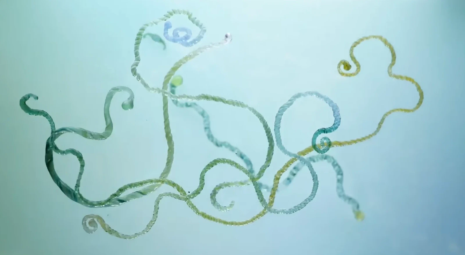 Water's Time Slice