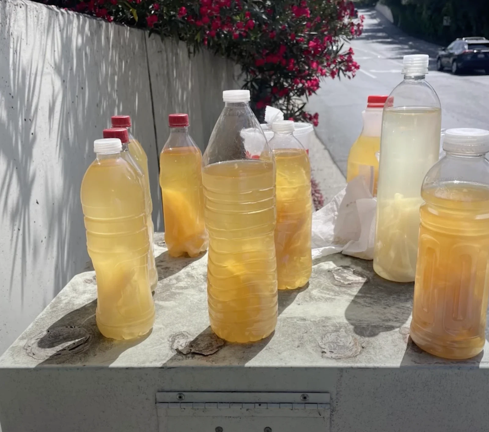 The Piss Saga