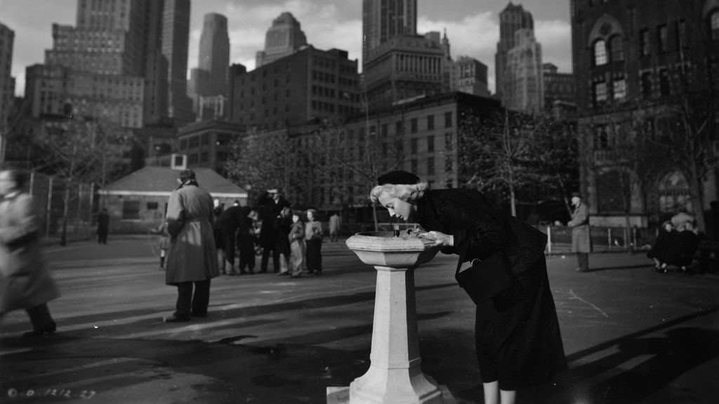 The Killer That Stalked New York