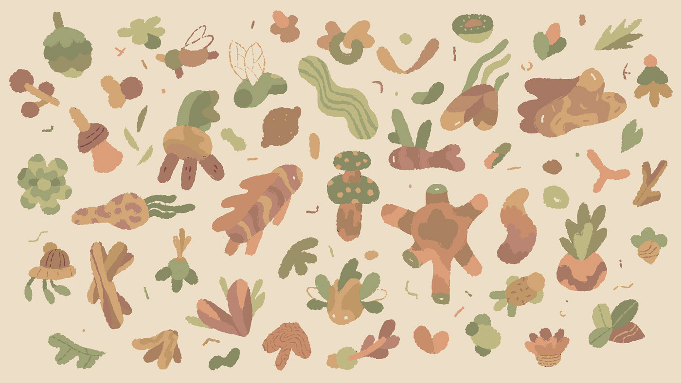 Forest Fire