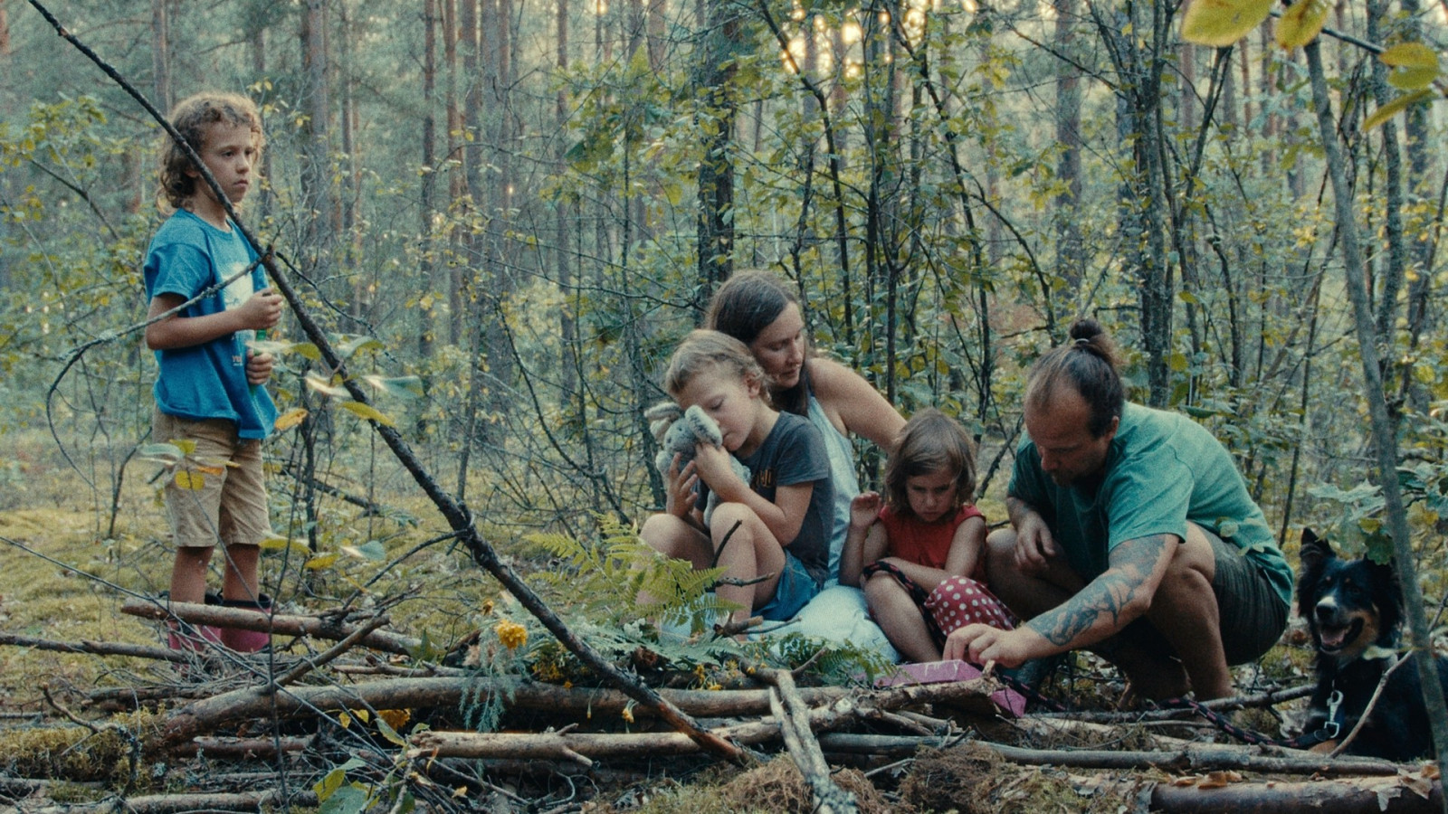 Forest