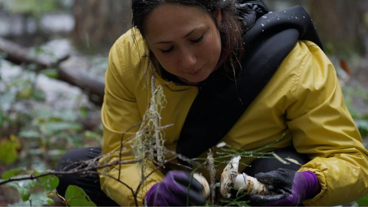 Hidden Stories: Foraged and Found