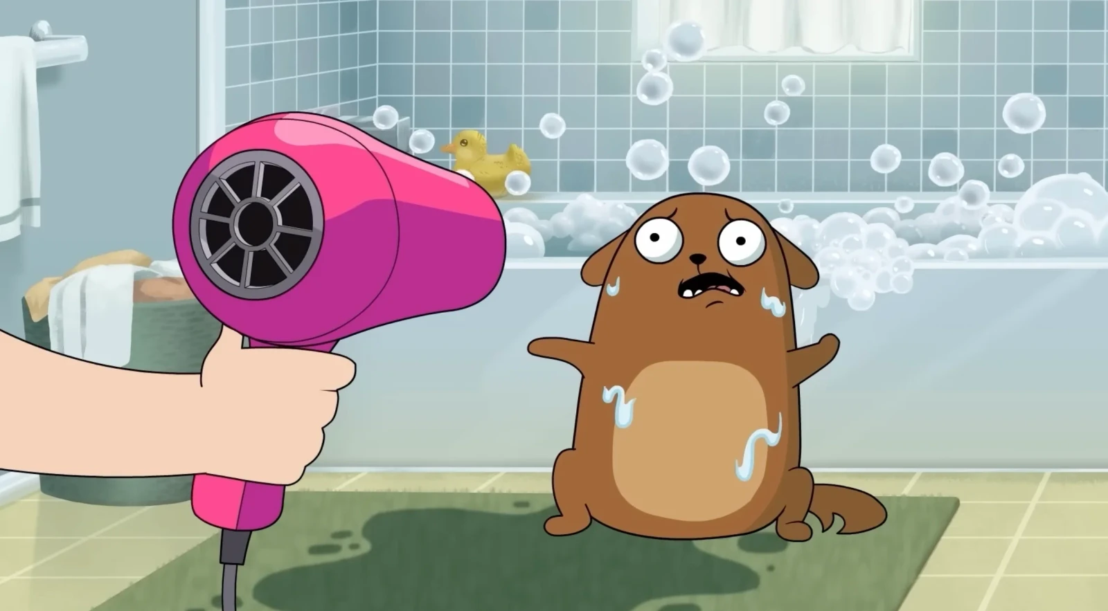 My Dog: The Paradox