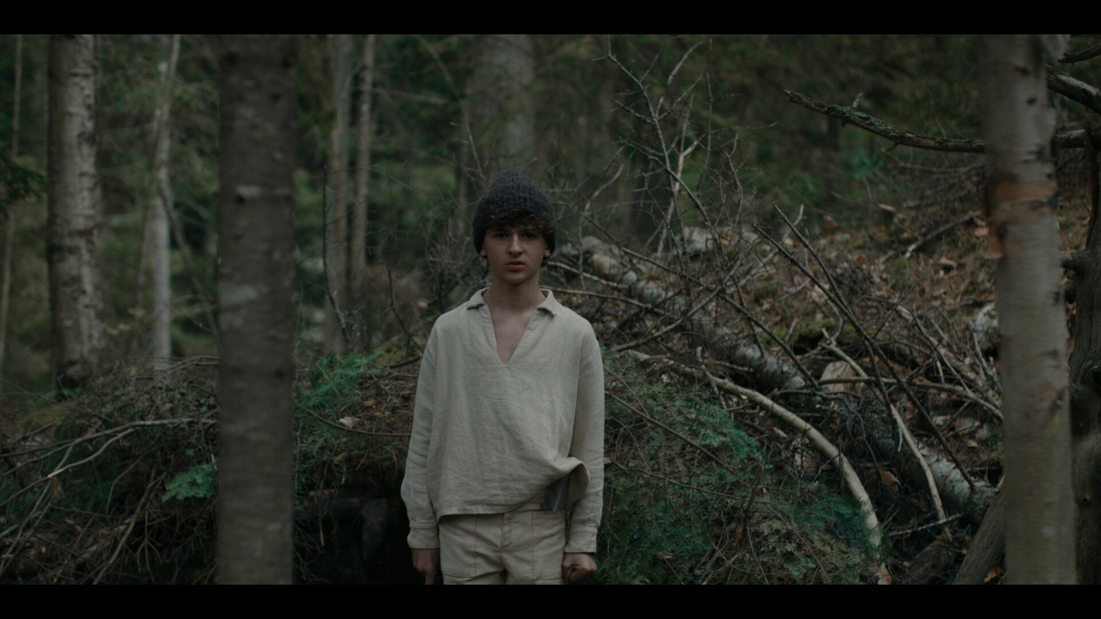 The Boy in the Woods