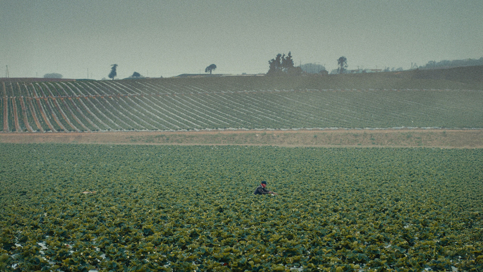 The Long Valley