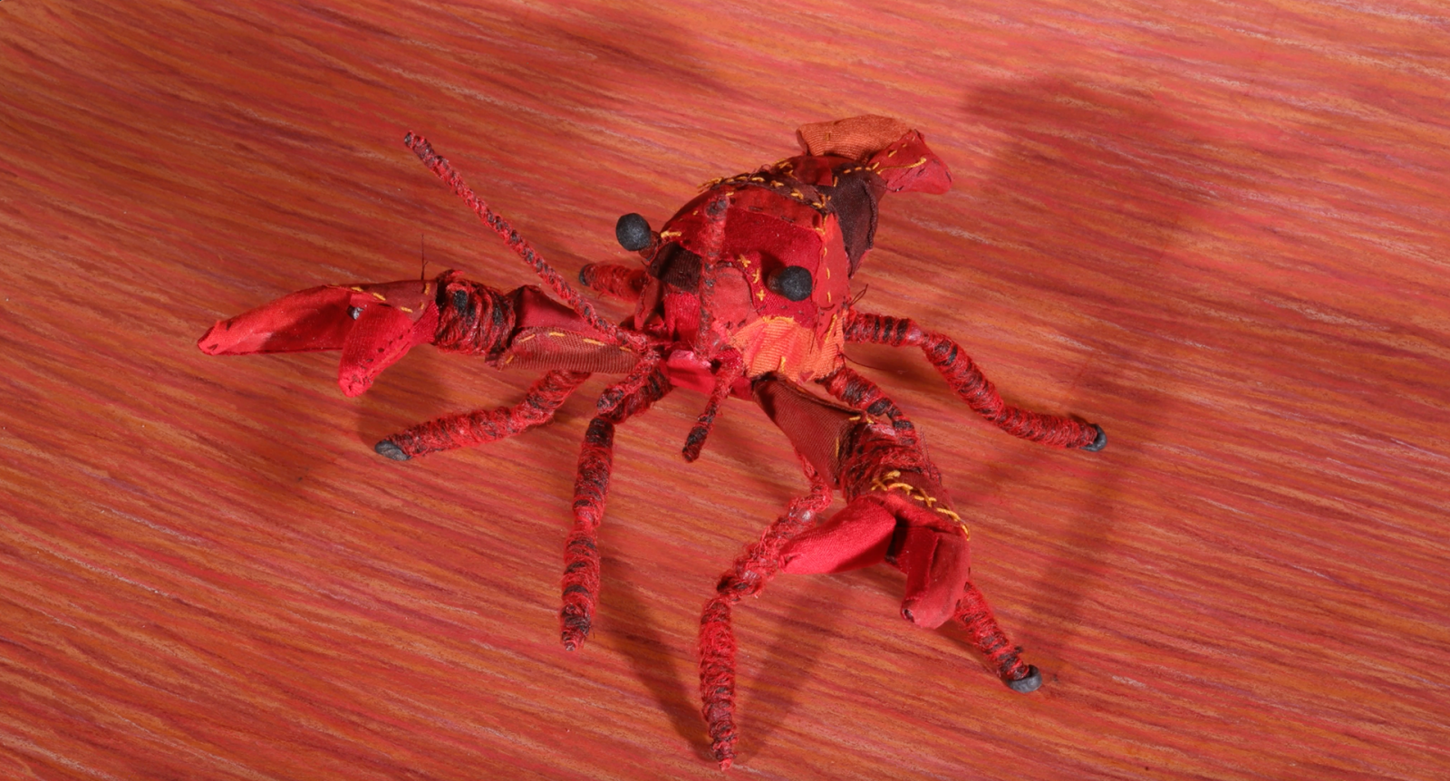 Clarkii