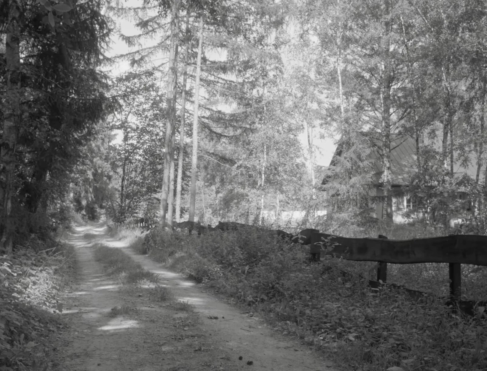 Liminal