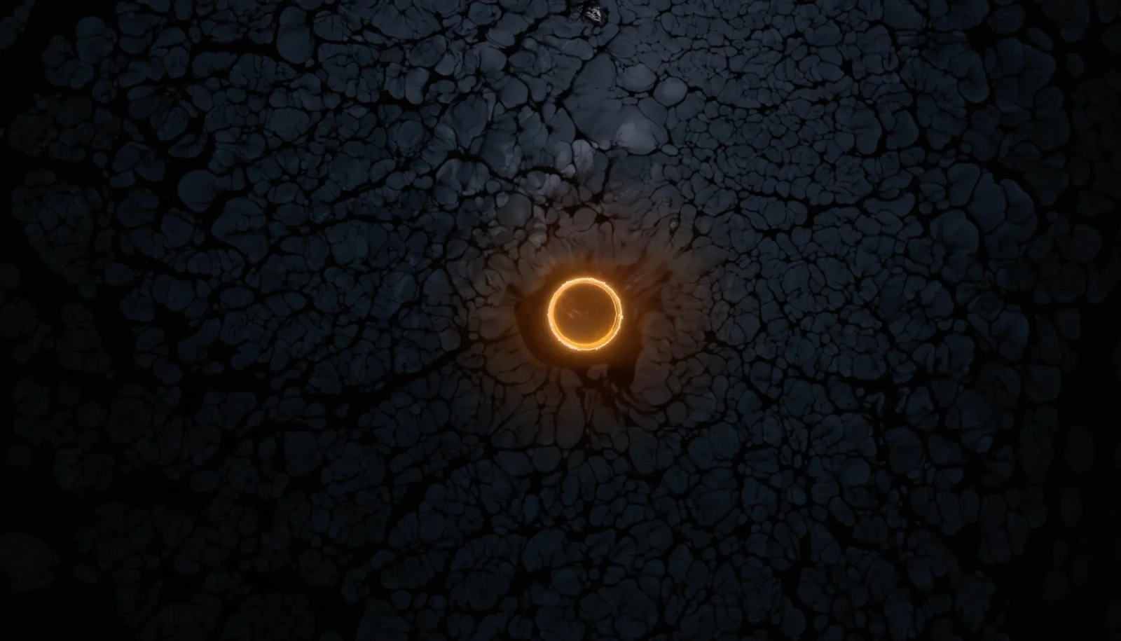 Stellar Iris