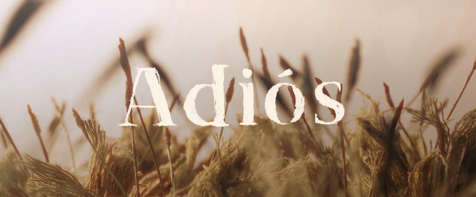 Adiós