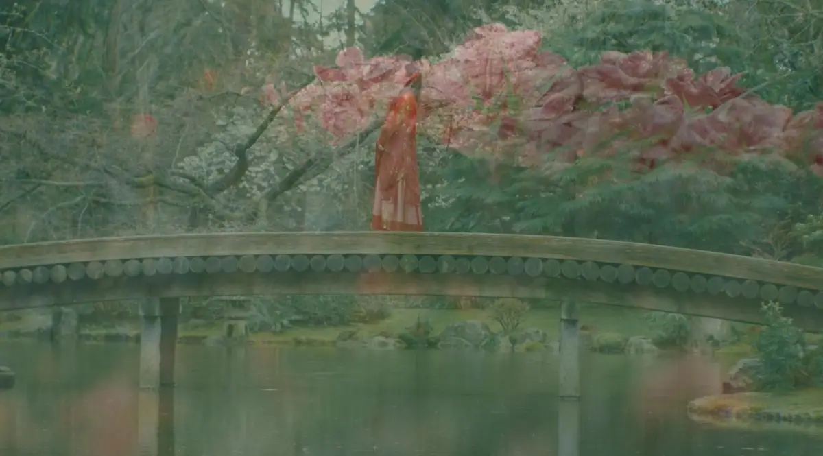 The Garden, Echoes