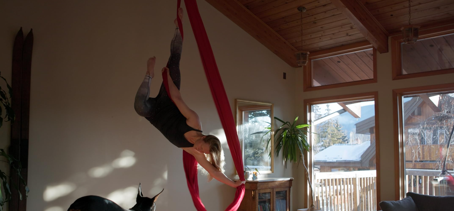 Wild Aerial