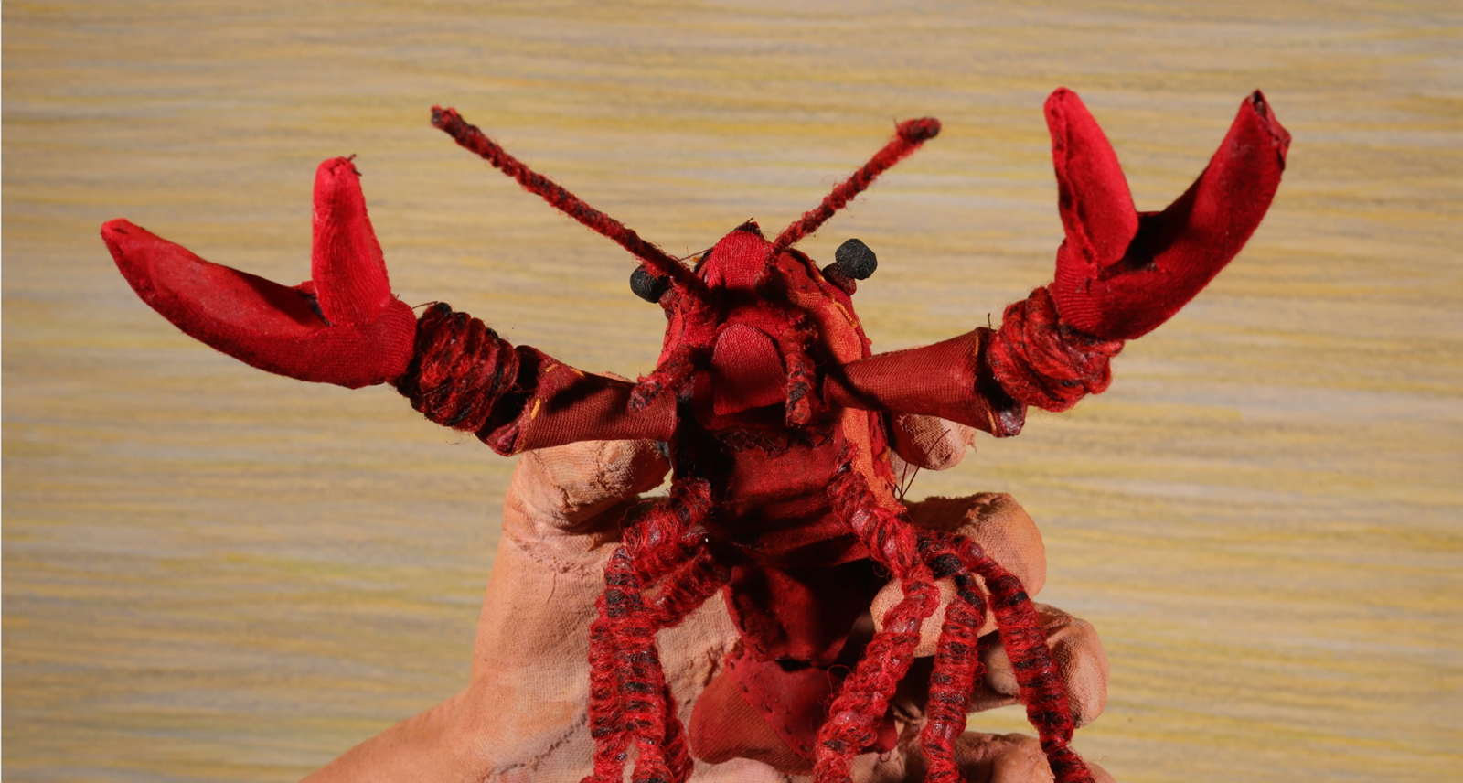 Clarkii