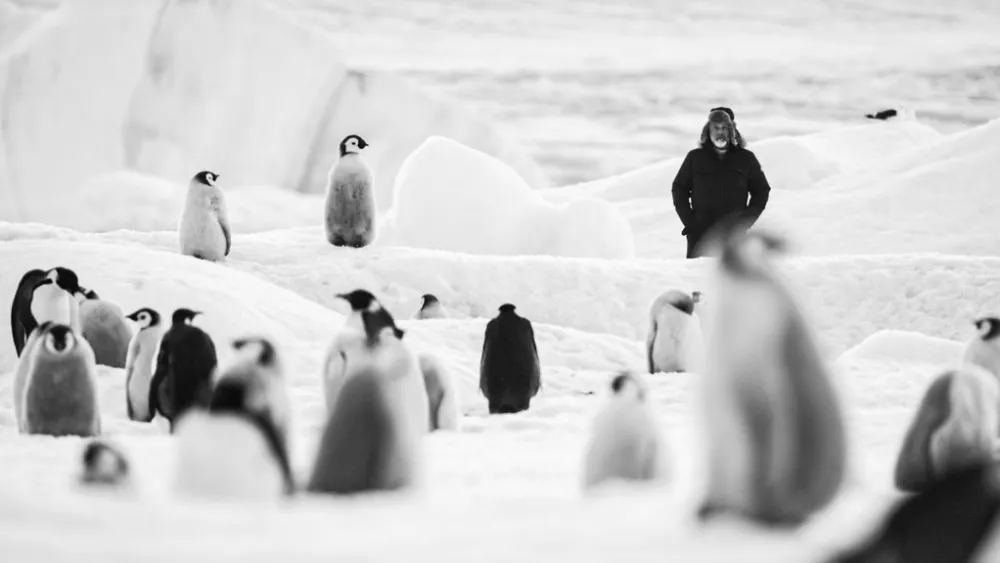 Antarctica Calling