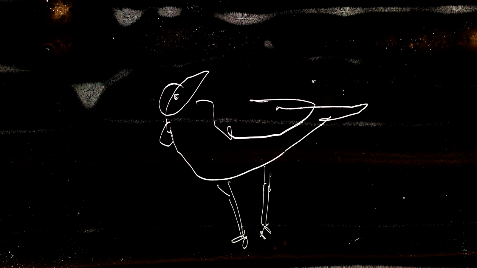Bird Milk