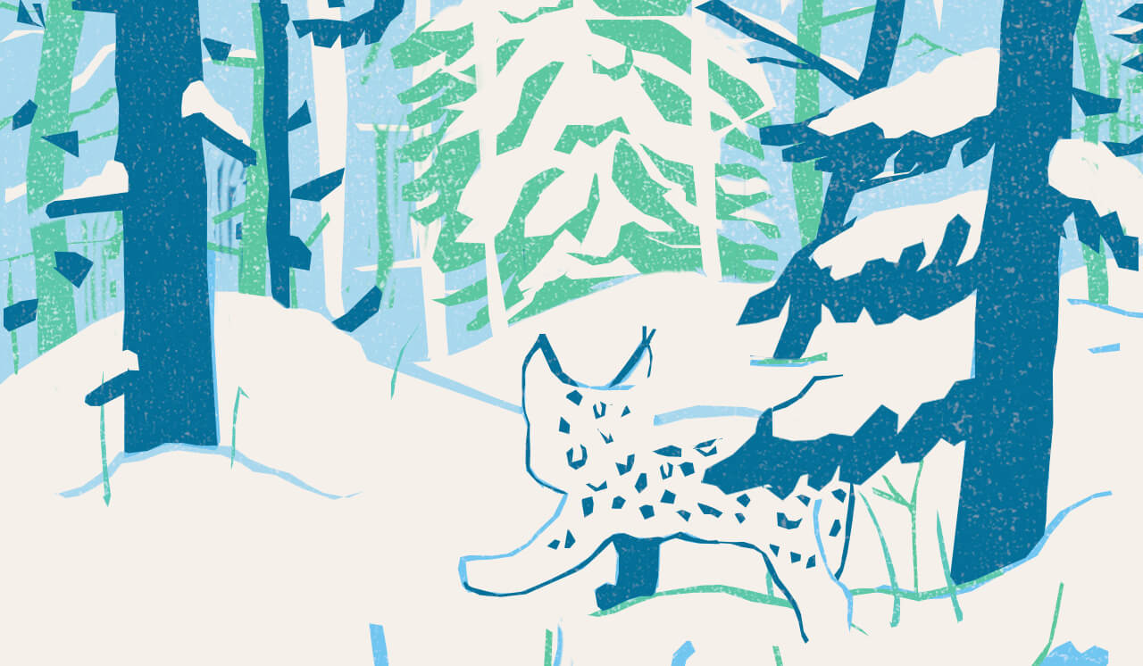 Animal Tales of Christmas Magic