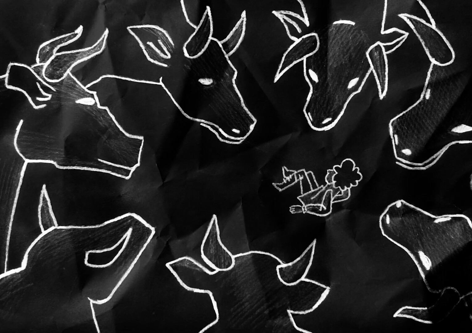 Cows