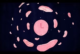 Cannot sleep!