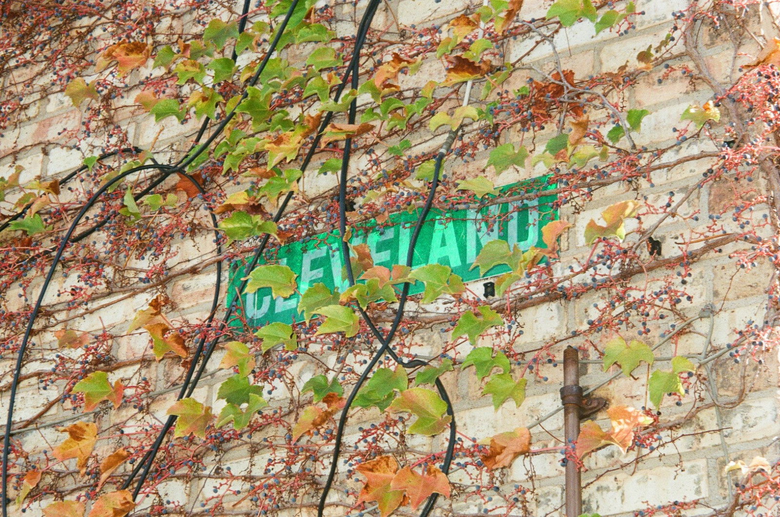 For Those That Lived There