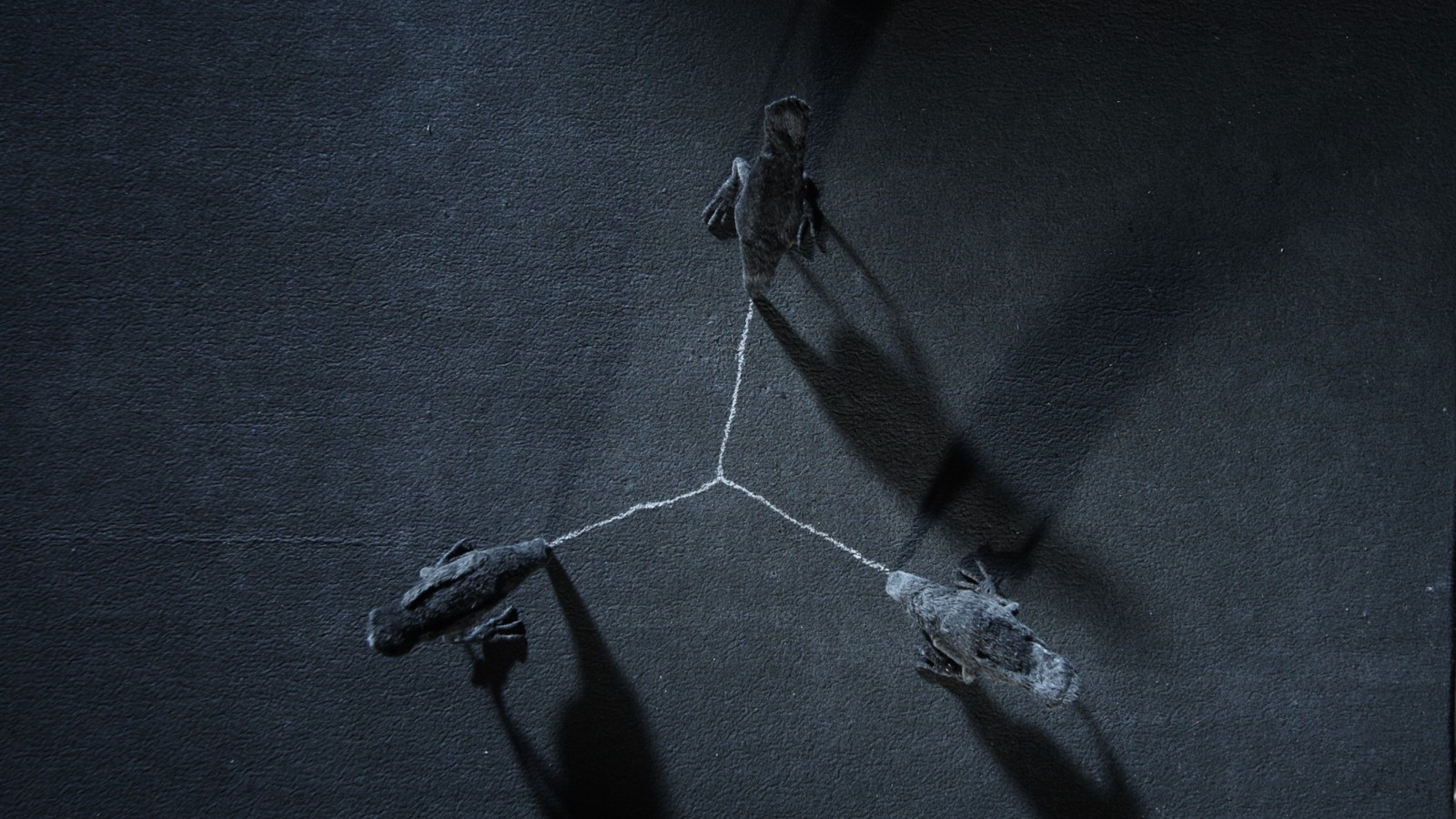 The Triangle Affair