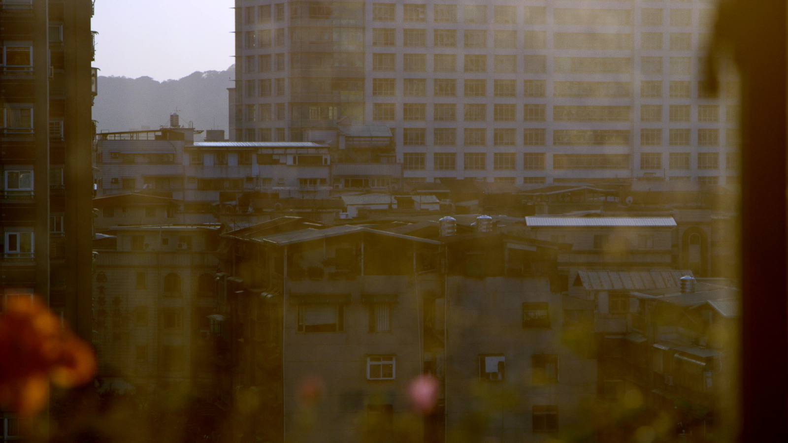 Light of the Setting Sun