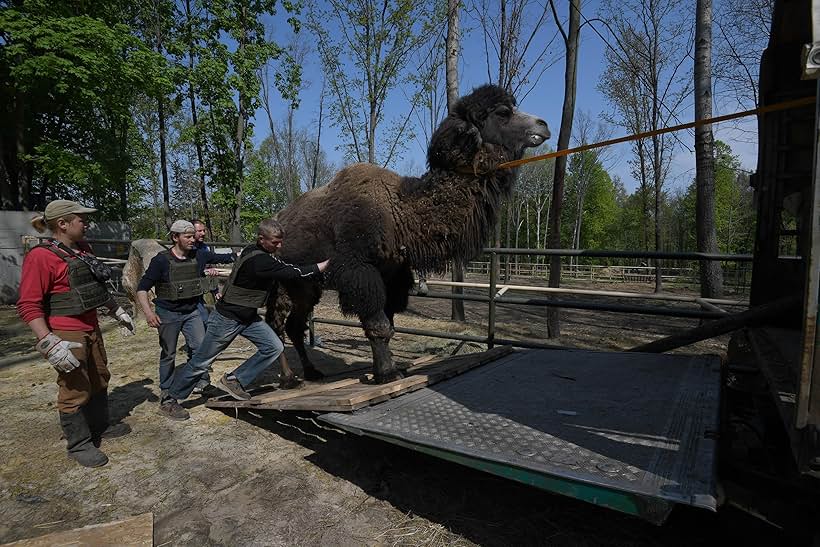 Checkpoint Zoo