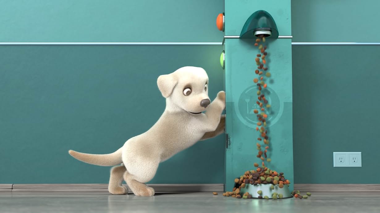 PIP