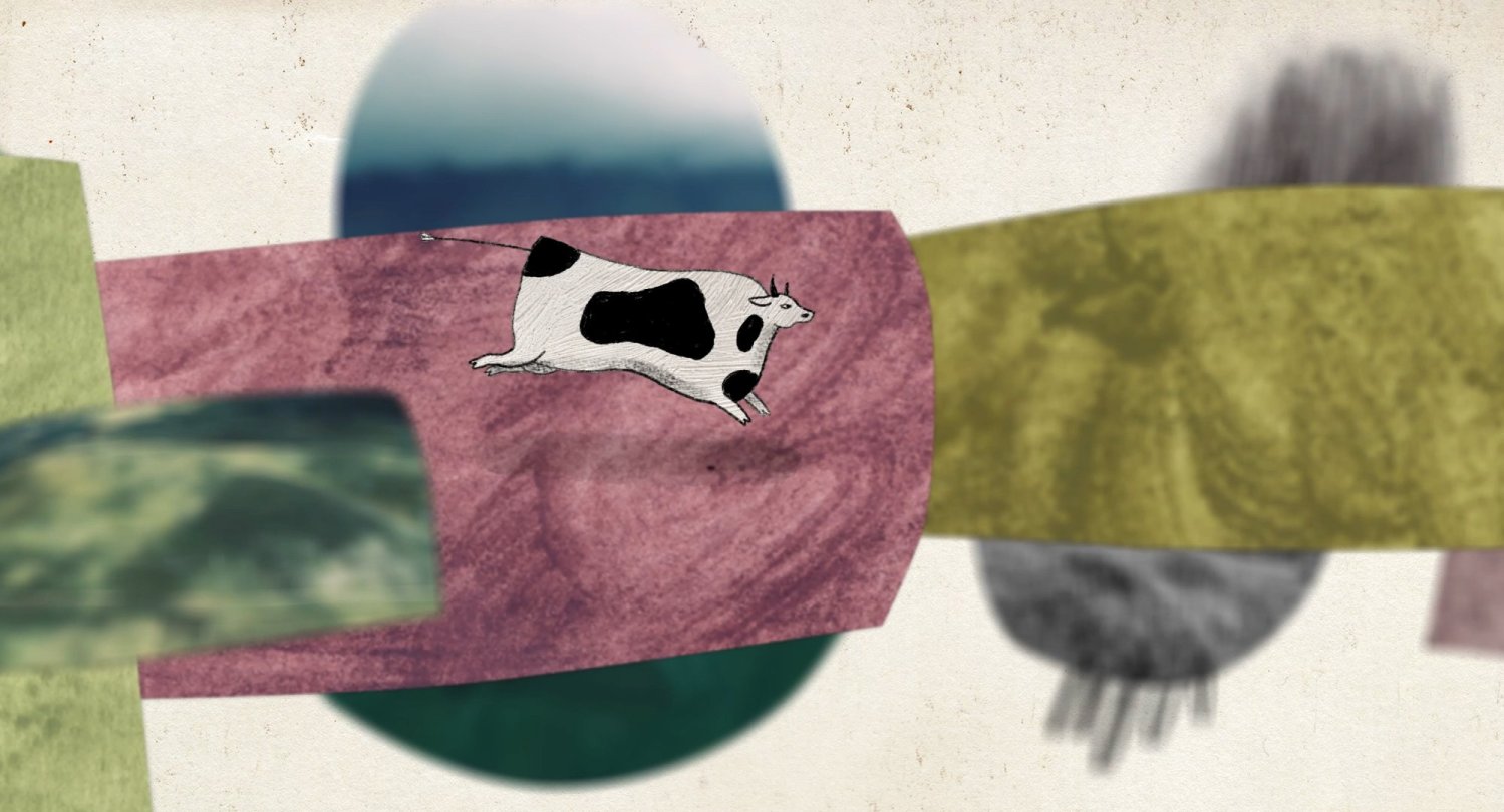 About a Cow