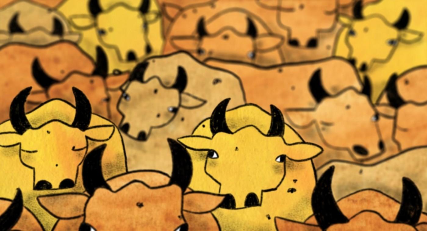 About a Cow