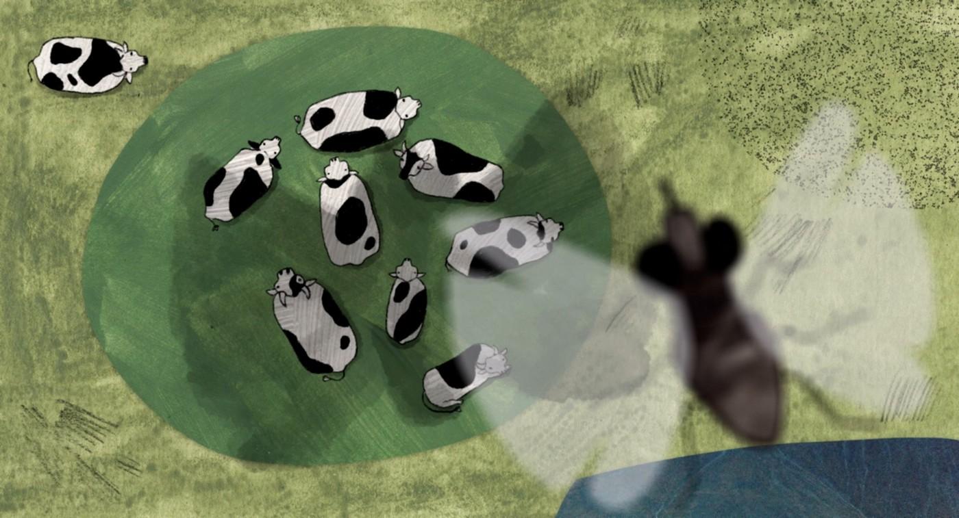 About a Cow