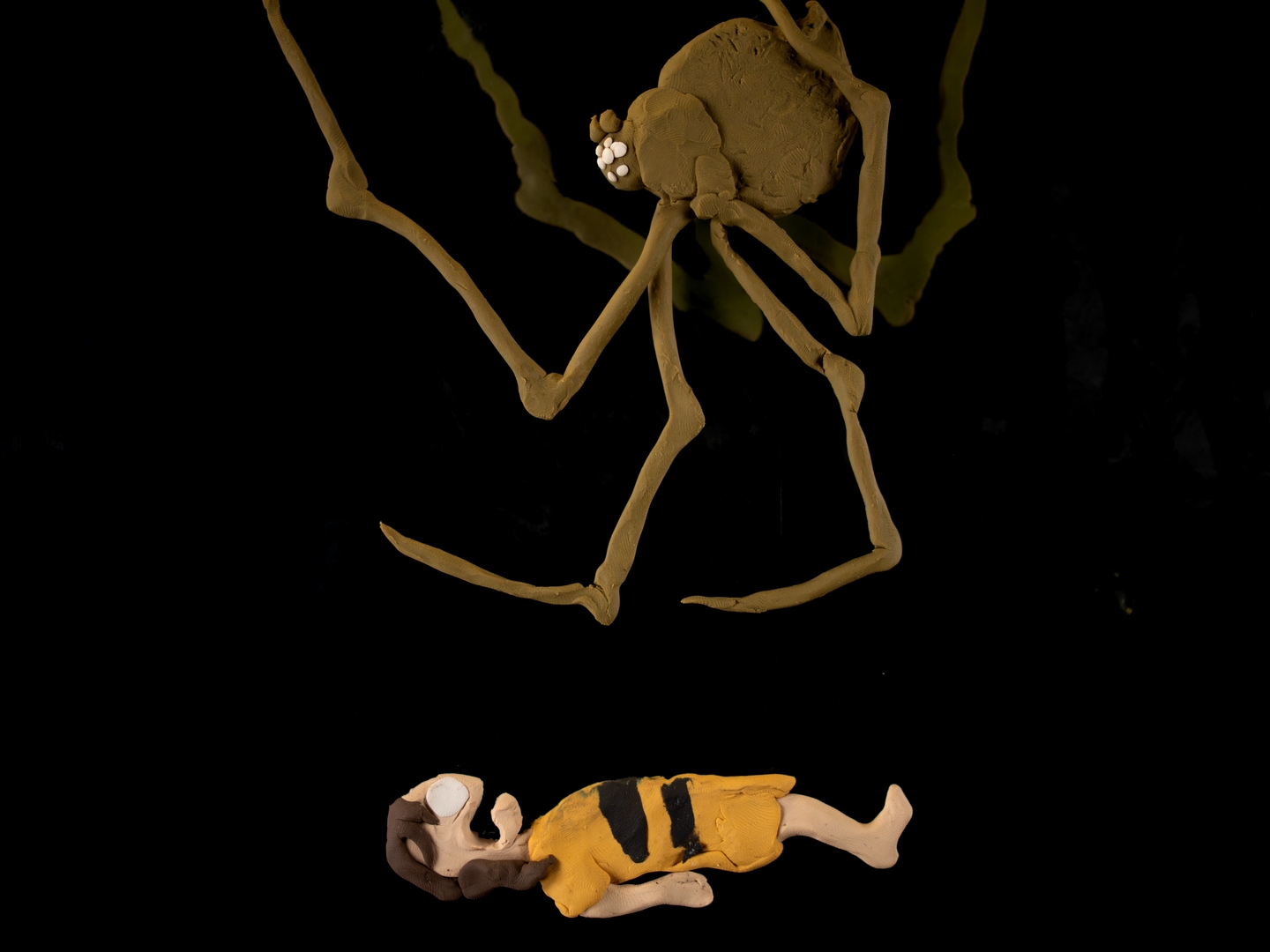 Arachnophobia