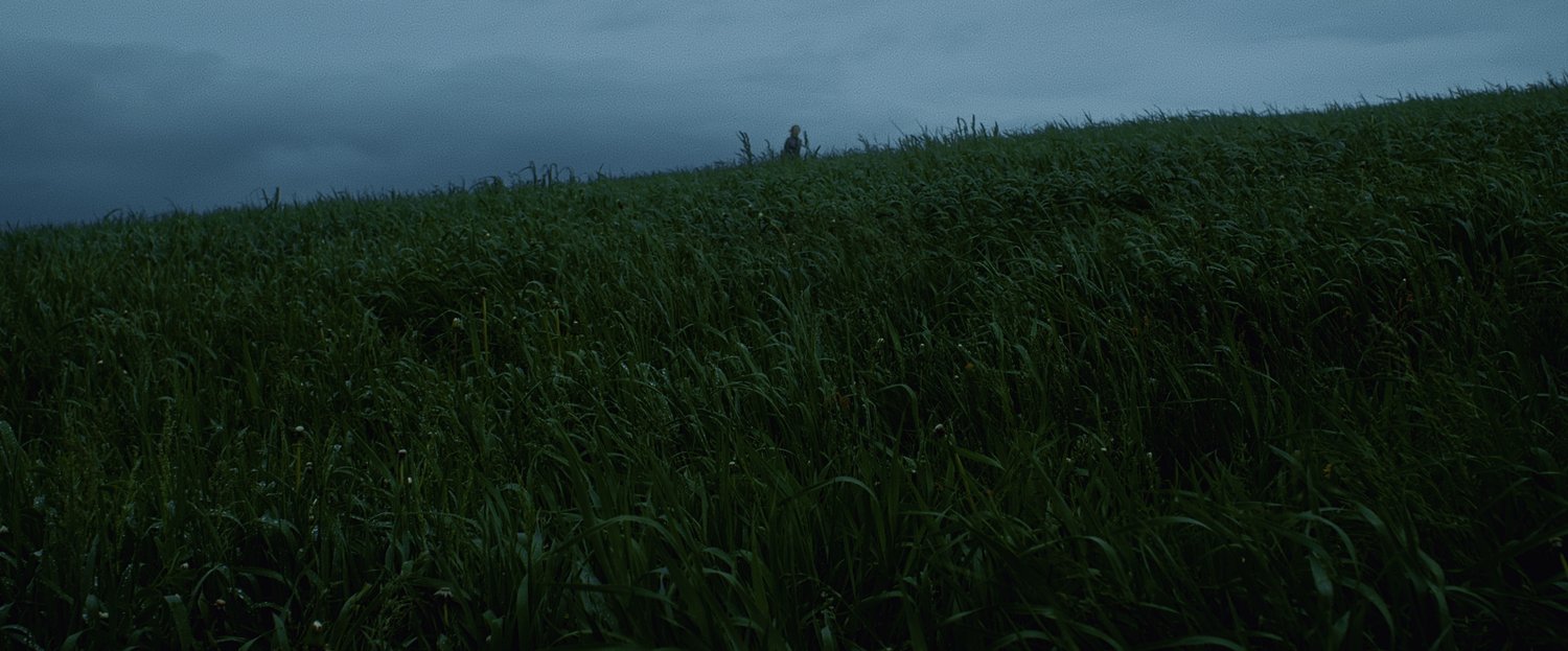 The Quiet Surrender