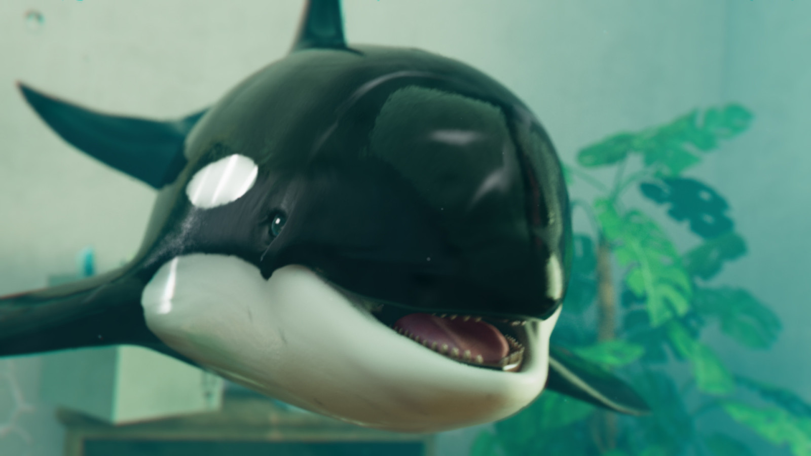 Orca