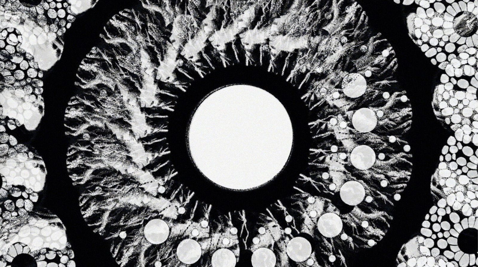 Tao
