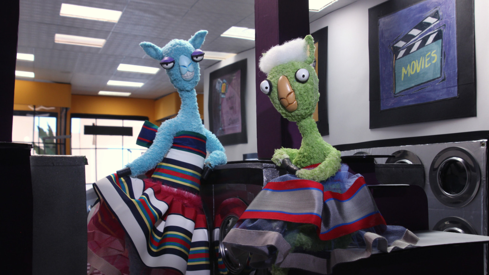 Llamas at the Laundromat