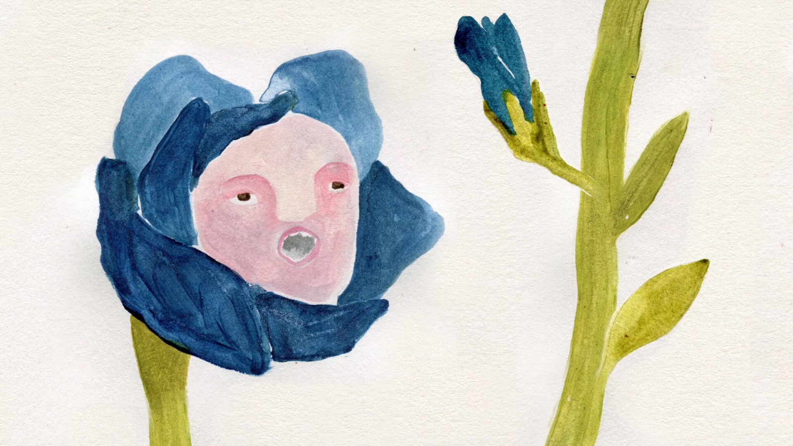 Cosmo Sheldrake – Stop the Music
