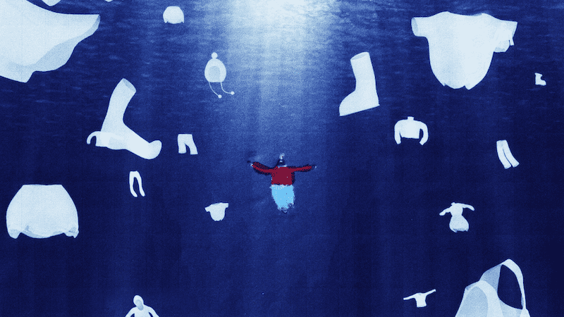 Swimming With Wings