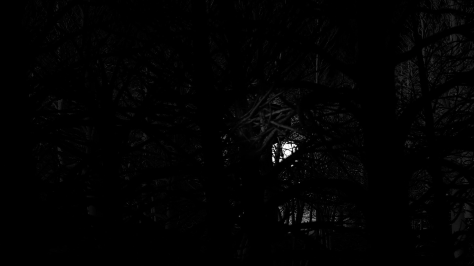 Lost Moon (Ghost World 3)