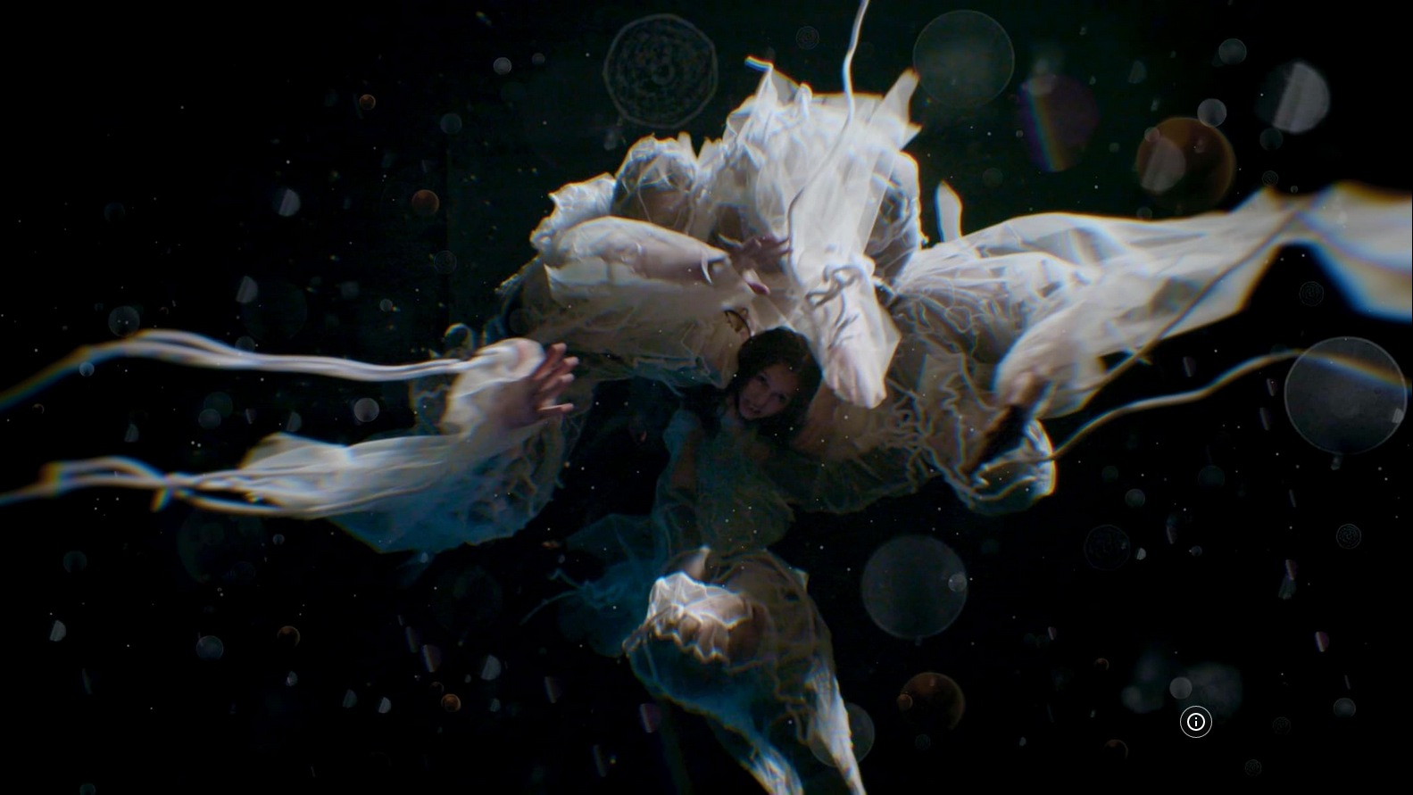 Mycelium