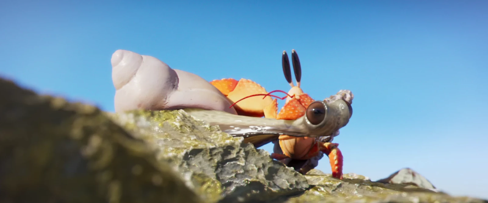 Shellfish