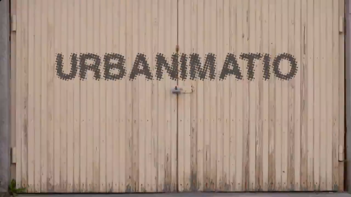 Urbanization