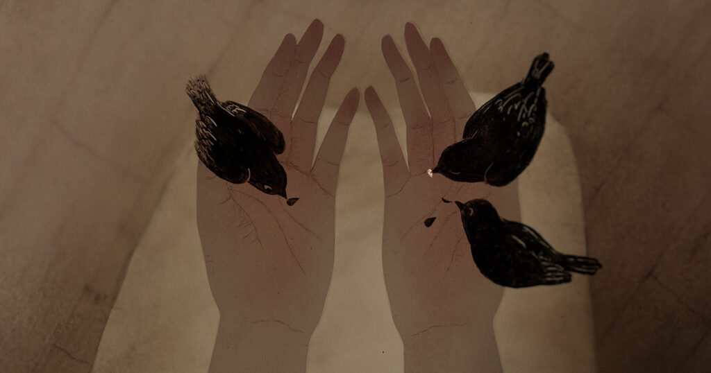 Three Birds