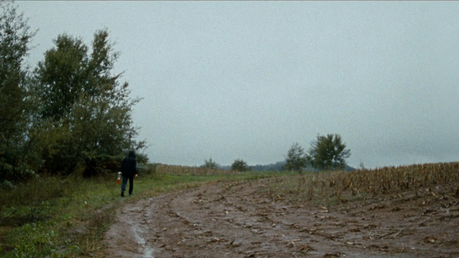 The Landscape and the Fury