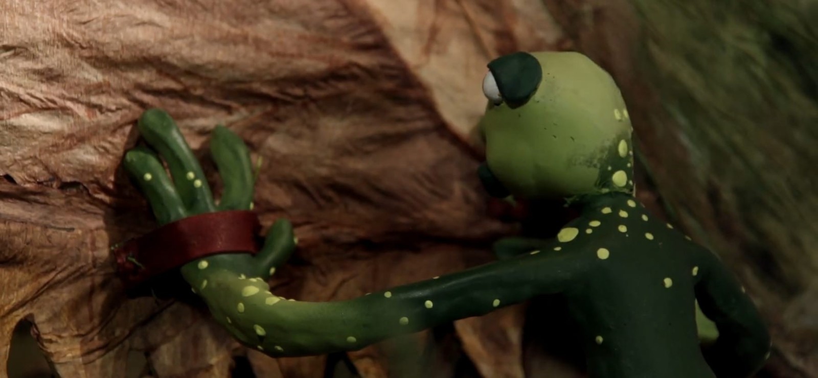 Frogs’ Song