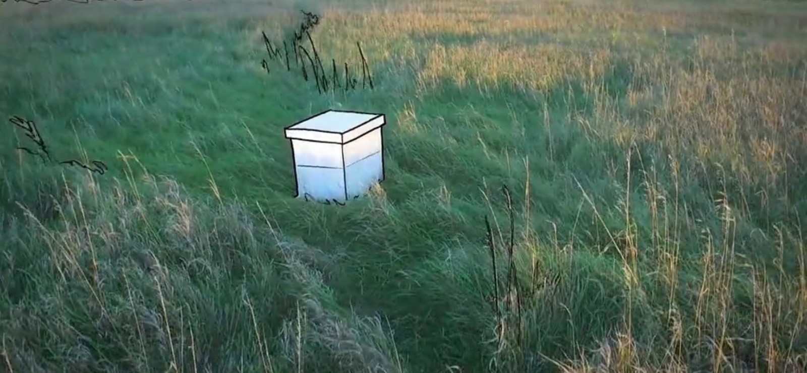 Beebox