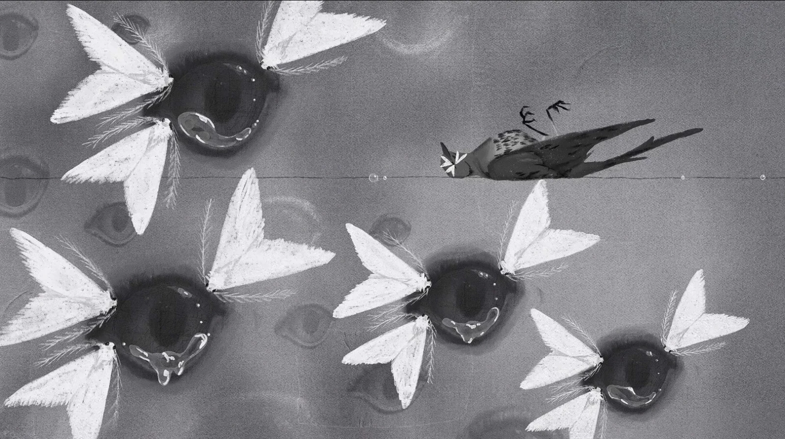 Lachryphagy