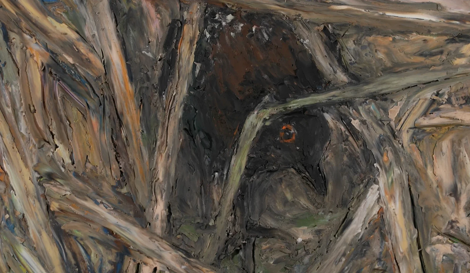 A Black Rail's Tale