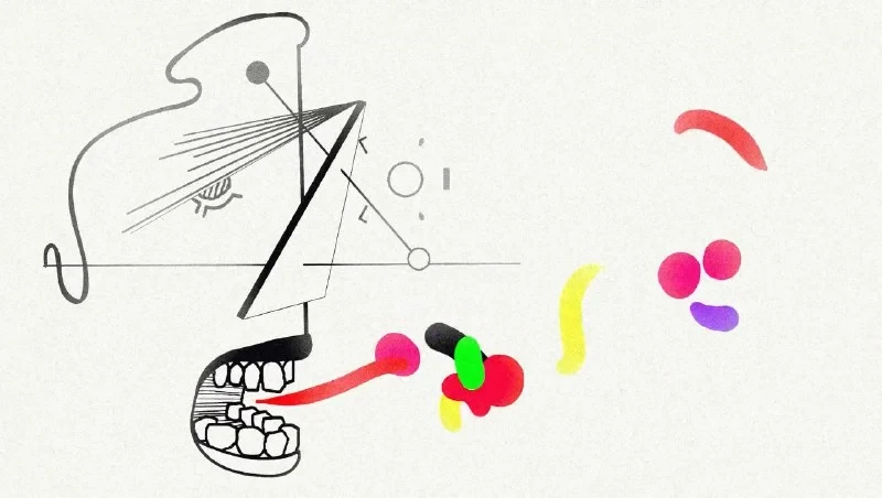 A Narrative Film