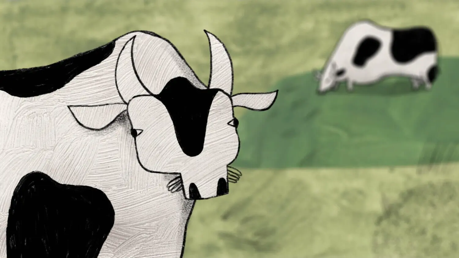 About a Cow