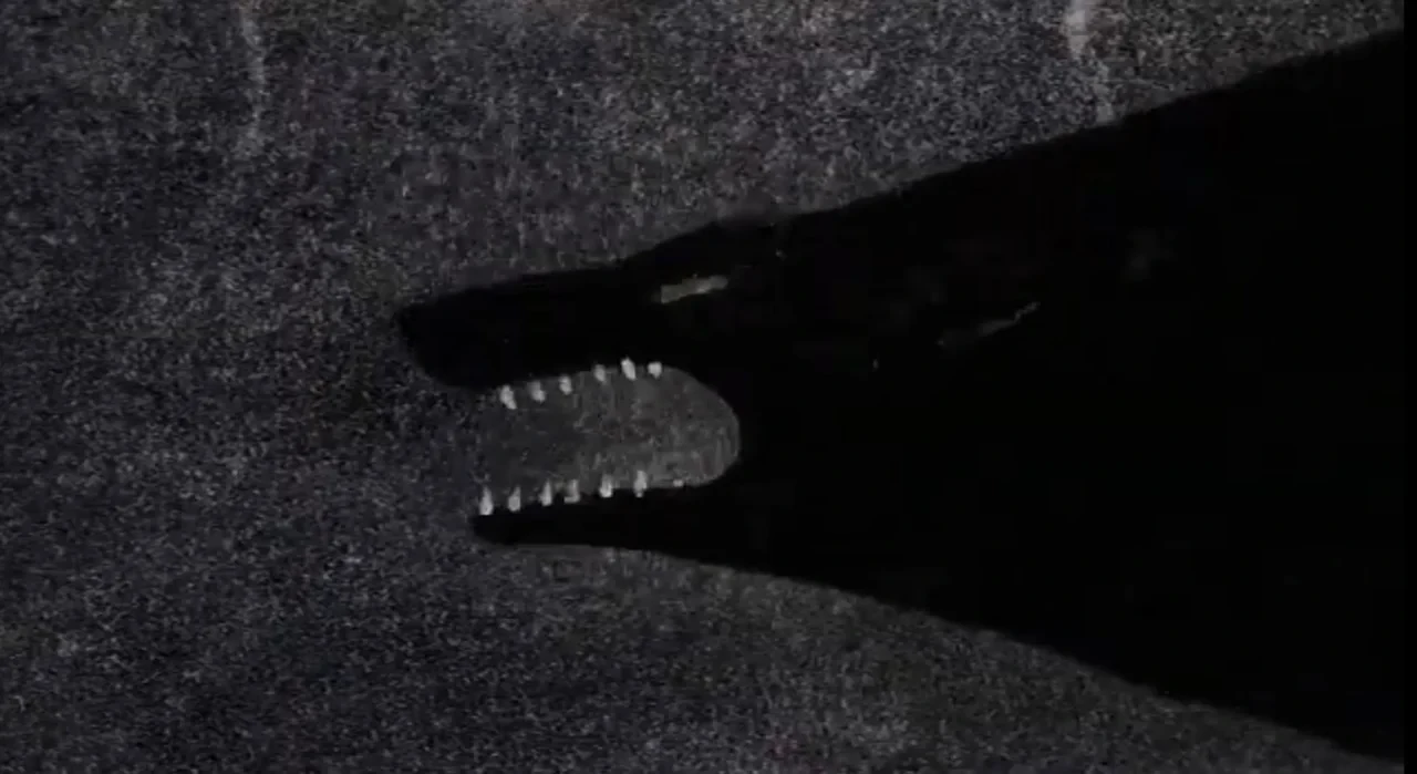 Among The Black Waves