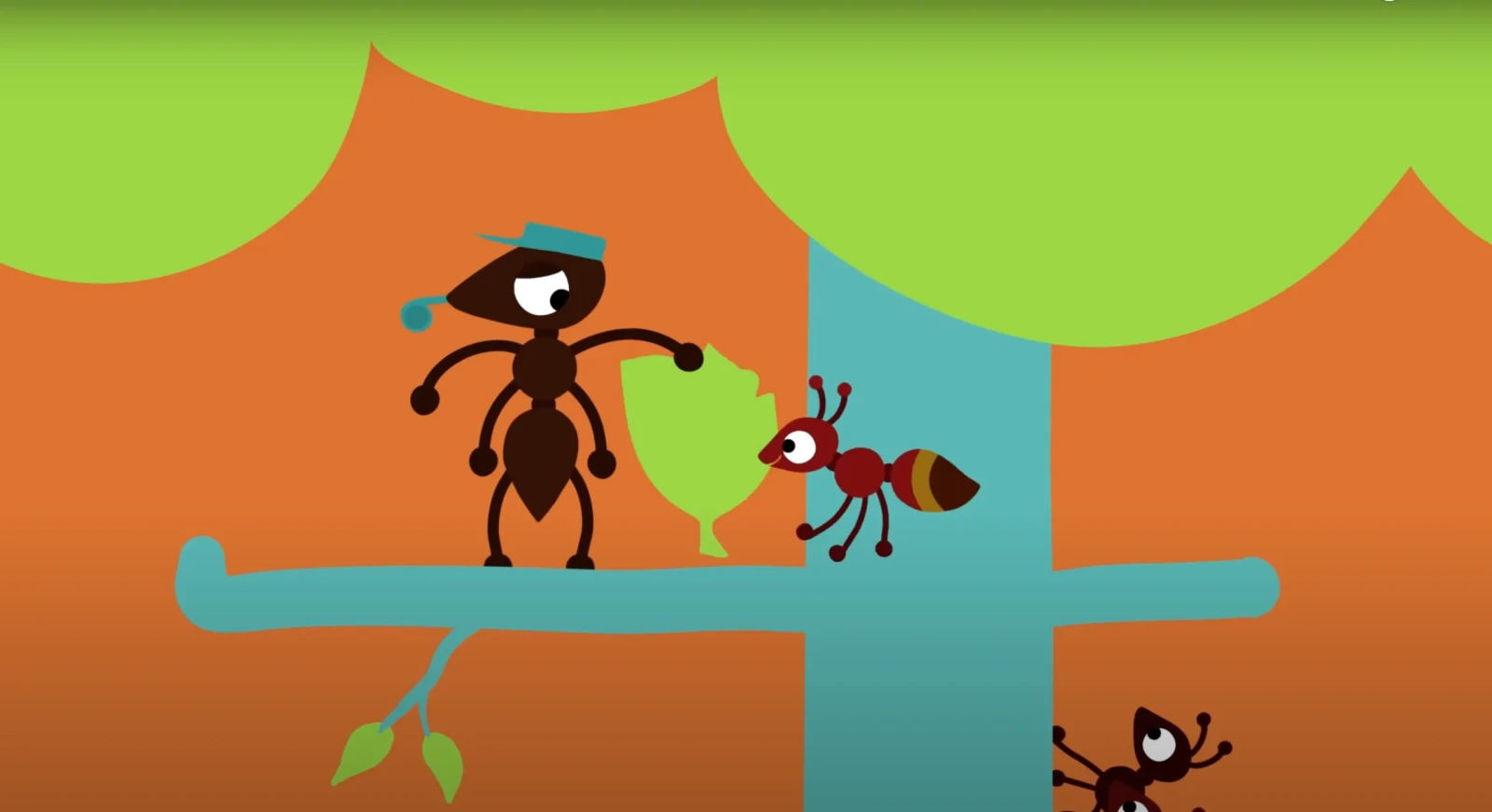 Ant